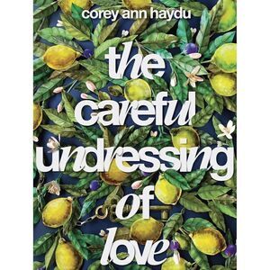NEW The Careful Undressing of Love by Corey Ann Haydu Hardback